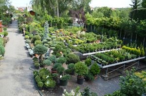 Zahradnictví - prodejna